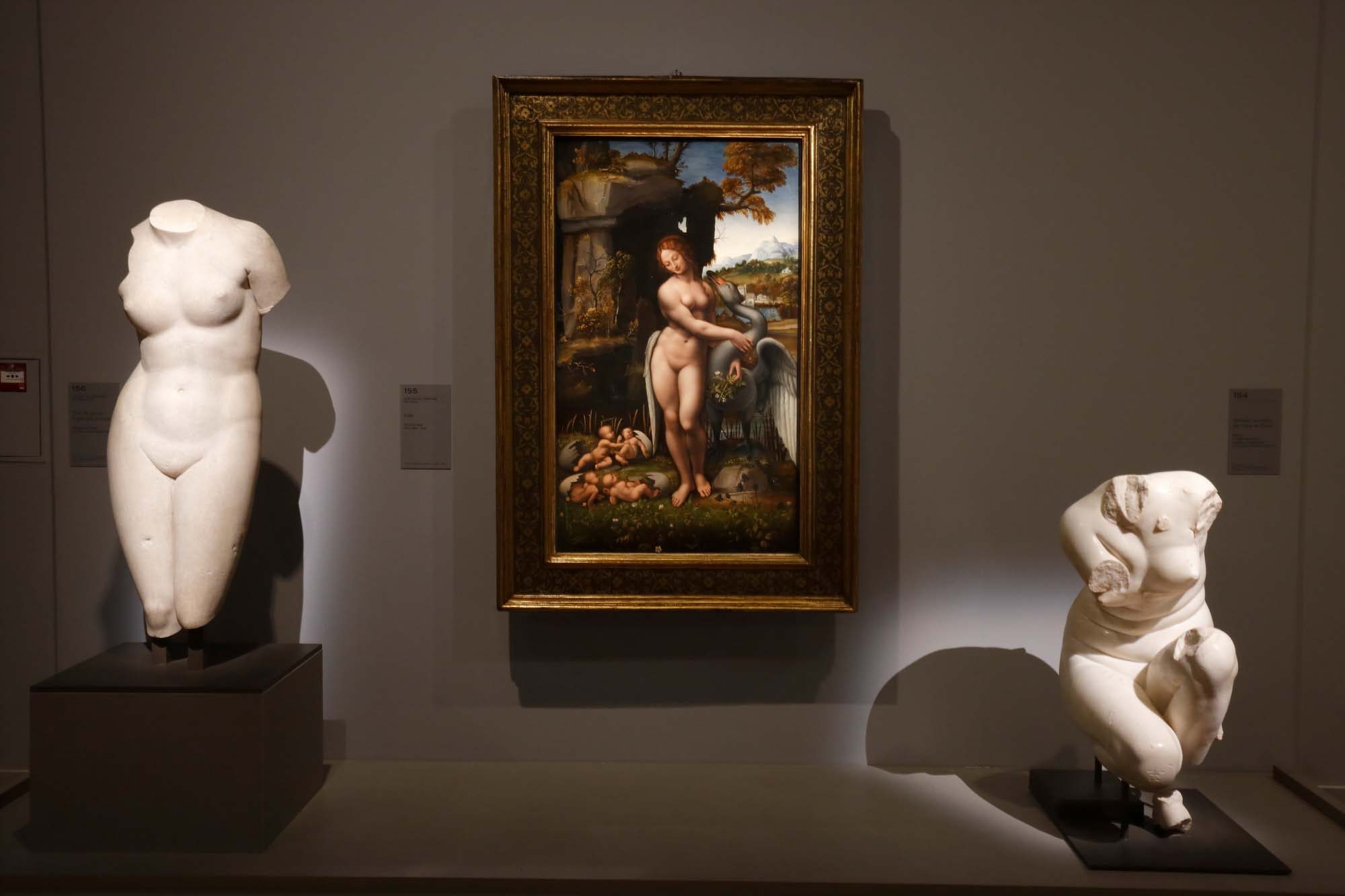 Vue de l'exposition “Leonard de Vinci” au musée du Louvre © Musée du Louvre – Antoine Mongodin