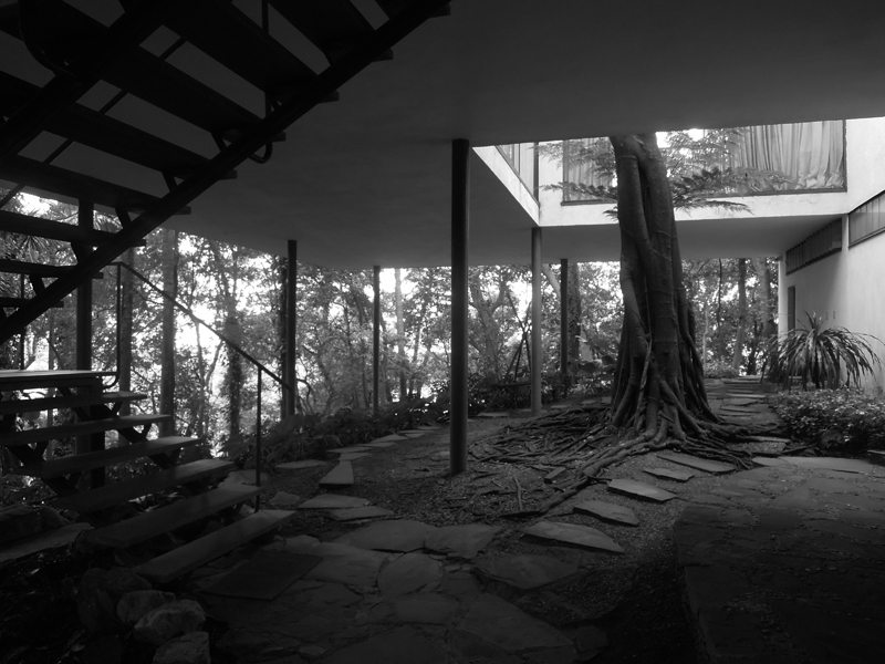 Une maison moderniste en plein cœur de la forêt brésilienne 