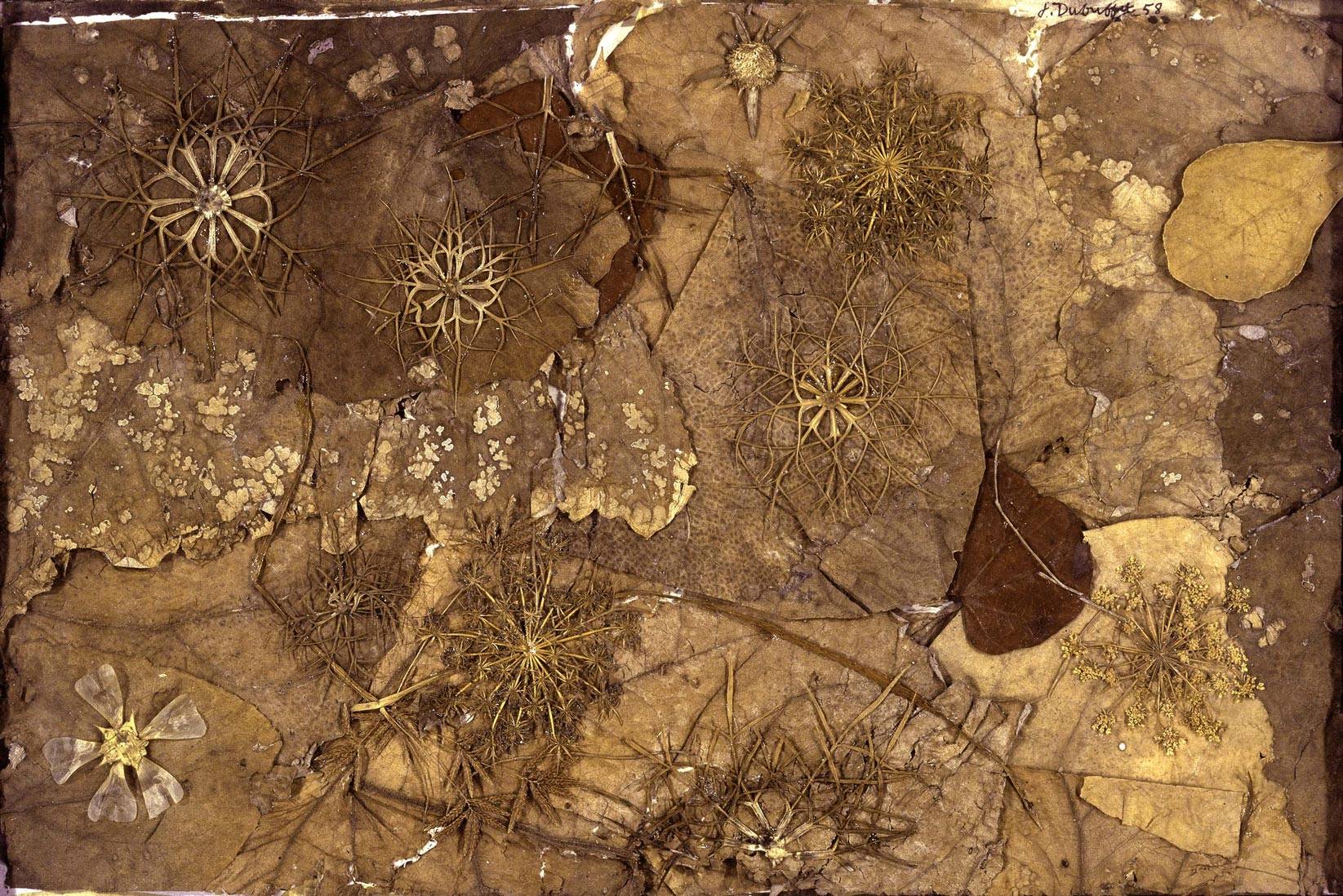 “Jardin au sol” de Jean Dubuffet, automne 1958.

Éléments botaniques, 24,5 x 37,5 cm
Collection Fondation Dubuffet, Paris
© Fondation Dubuffet/ADAGP, Paris, 2017