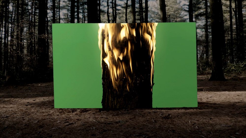 Capture d'écran de la vidéo "Cambio: Visual Essay" (2020). Écran vert dans la forêt Del Chignolo, Montemerlo, Italie. 