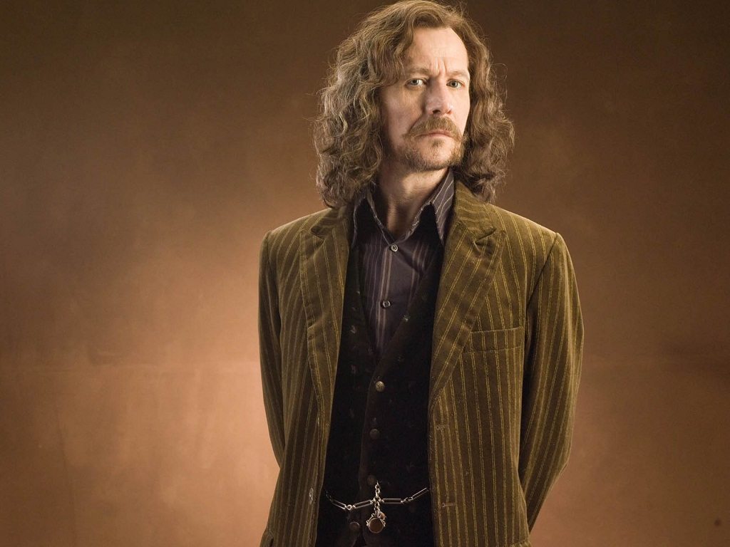 Gary Oldman en Sirius Black dans “Harry Potter et l'Ordre du Phenix” de David Yates