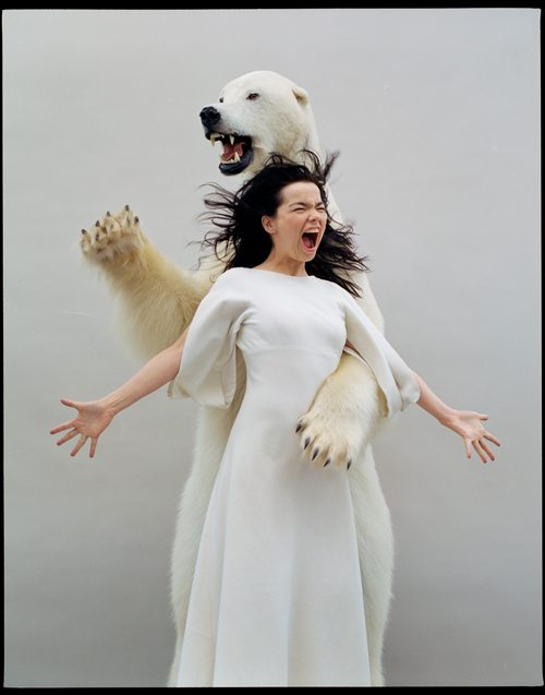 Björk par Jean-Baptiste Mondino, 2005.