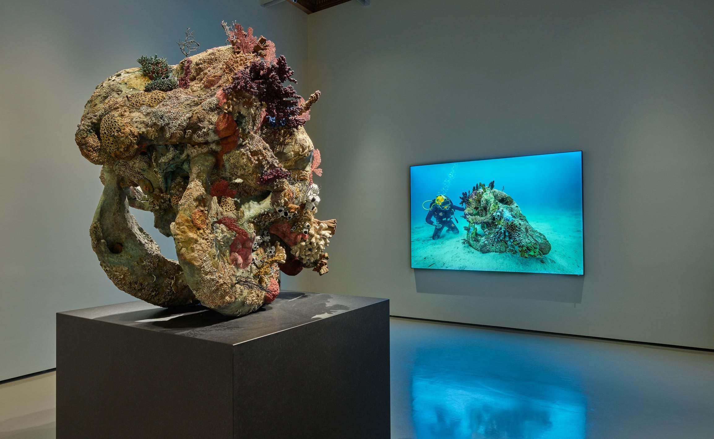 Room 5:
(left to right)
Damien Hirst, Skull of a Cyclops, Skull of a Cyclops Examined by a Diver (photography
Christoph Gerigk). Photographed by Prudence Cuming Associates © Damien Hirst and Science Ltd.
All rights reserved, DACS/SIAE 2017