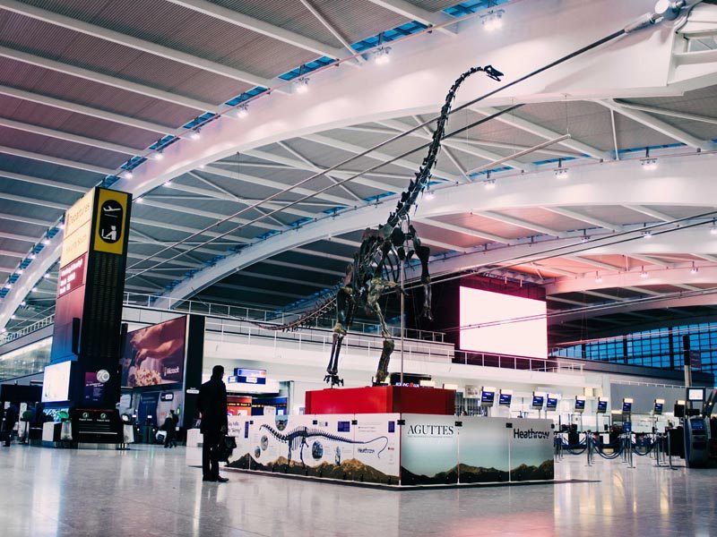 Skinny, squelette de dinosaure exposé à Heathrow Airport jusqu'au 3 juin 2019 ©Aguttes