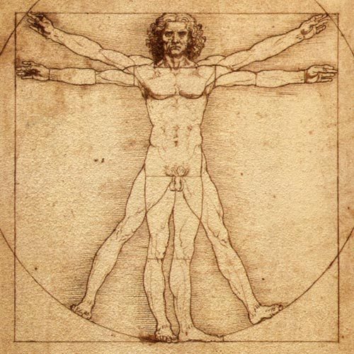 “L’homme de Vitruve”, Leonard de Vinci