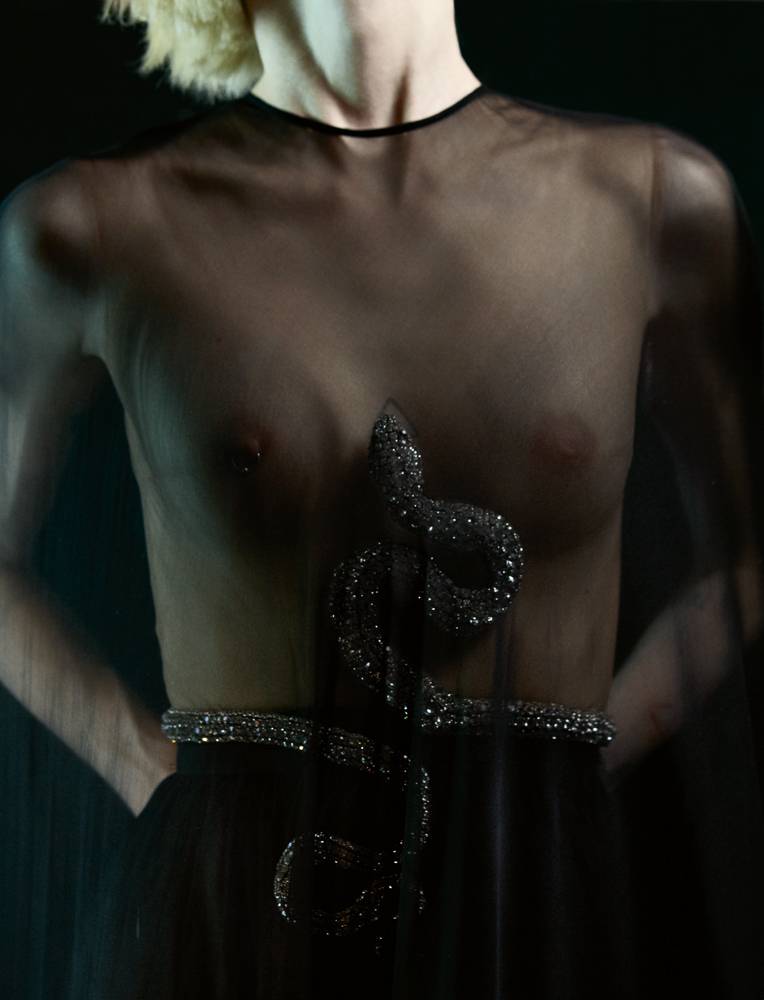 <p>Evening dress with cristal snake belt, GIAMBATTISTA VALLI HAUTE COUTURE. </p>
