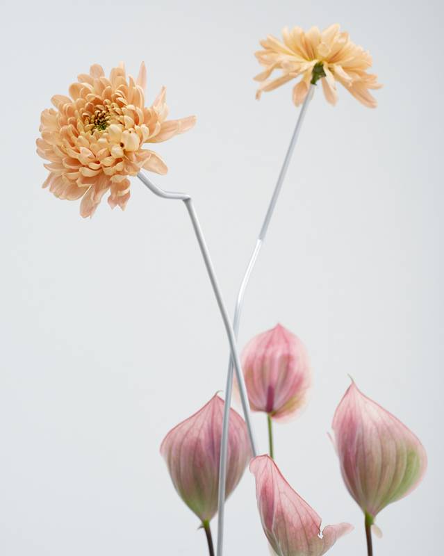 Exclusif : la série mode “Fleur de rocaille” par Janneke van der Hagen