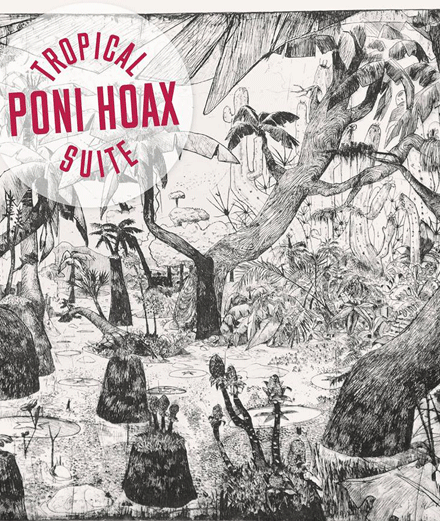 Qui se cache derrière Poni Hoax, groupe de rock français hors norme ?